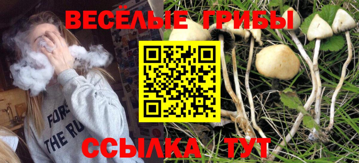 Людиново  Галлюциногенные грибы Magic Shrooms  Вход с VPN  Псилоцибиновые грибы Magic Shrooms 