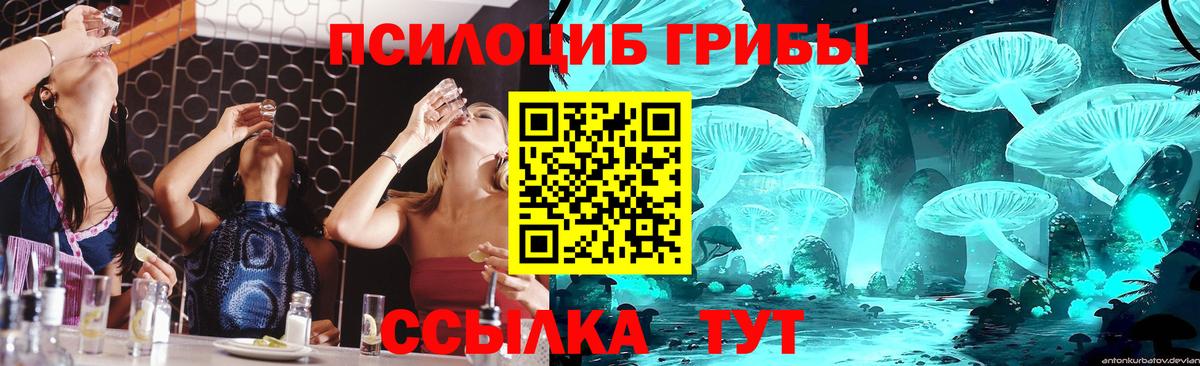 Псилоцибиновые грибы MAGIC MUSHROOMS Людиново